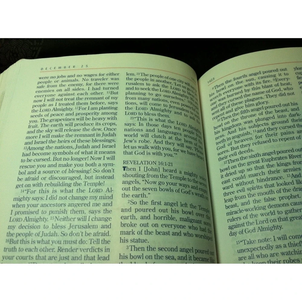 The One Year Bible For Women -‎ The New Living Translation